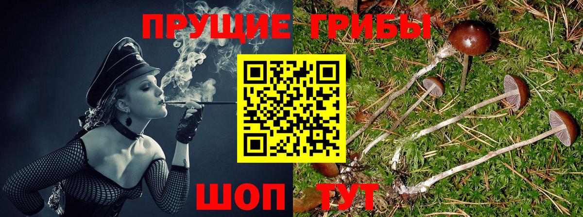 Псилоцибиновые грибы мухоморы Петропавловск-Камчатский