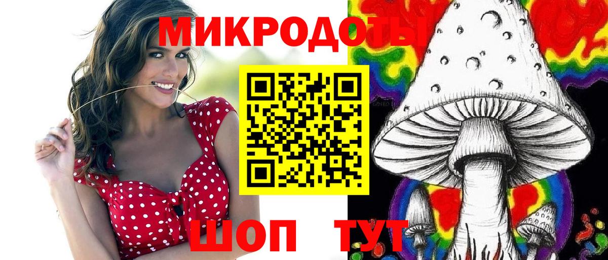 Галлюциногенные грибы MAGIC MUSHROOMS  Псилоцибиновые грибы Magic Shrooms  купить наркоту  Петропавловск-Камчатский  Вход с VPN 